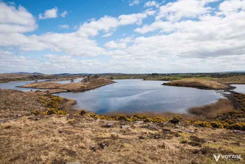 picnic-greenway-irlande