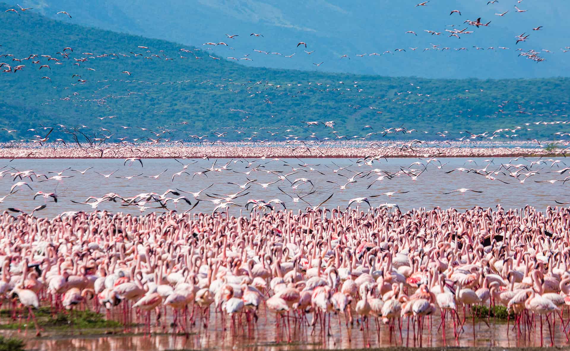 lac nakuru