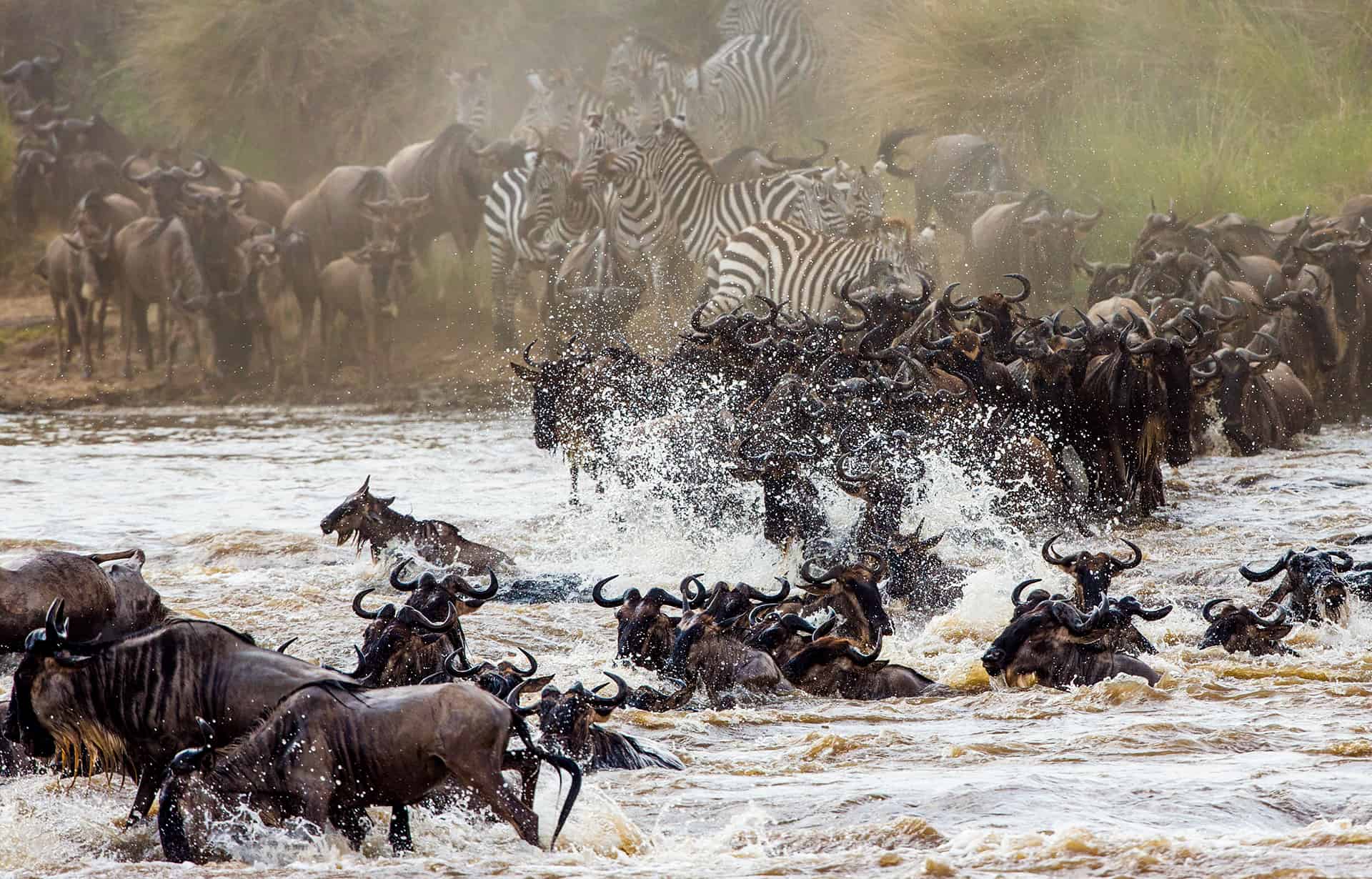 parc national masai mara