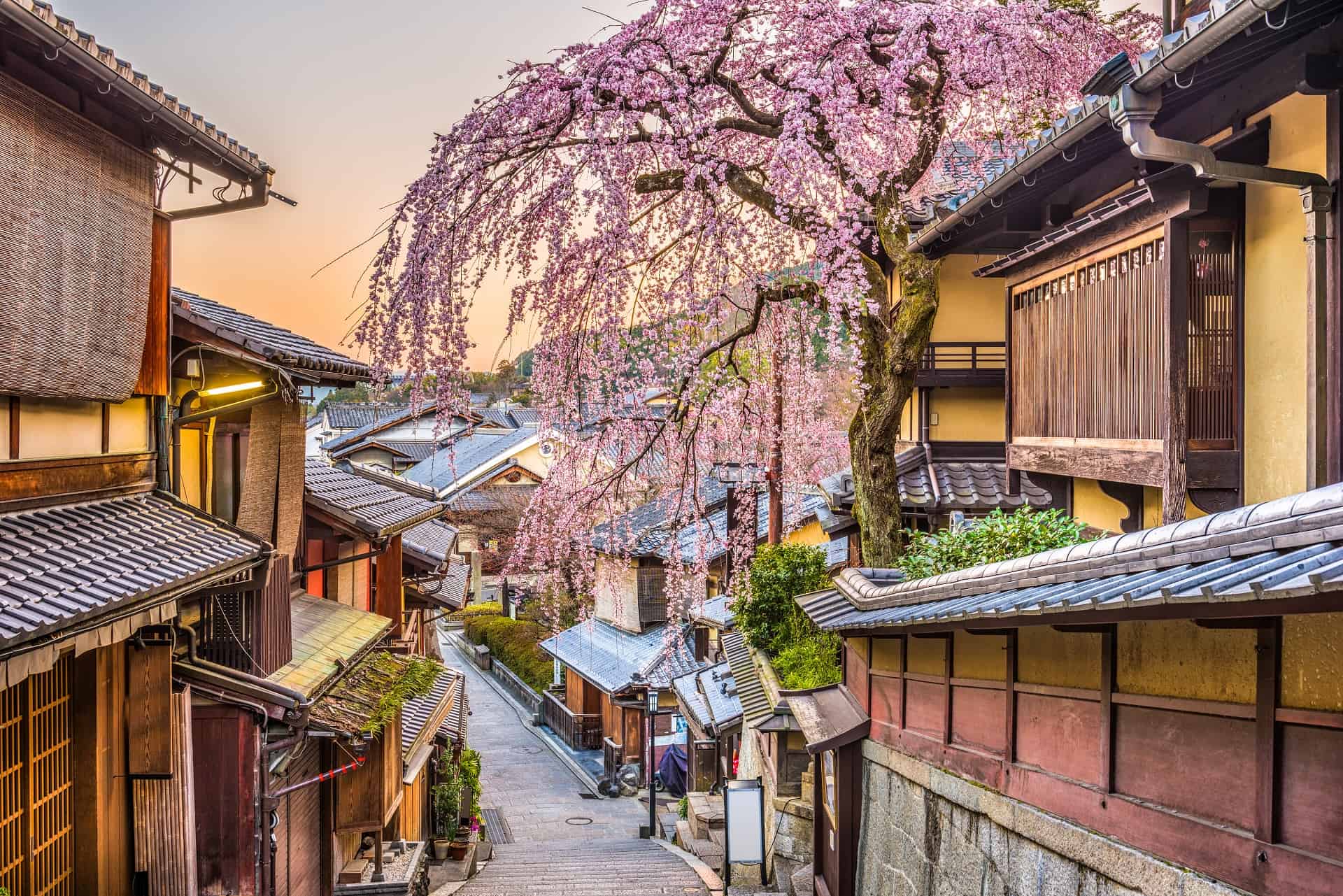 higashiyama tokyo