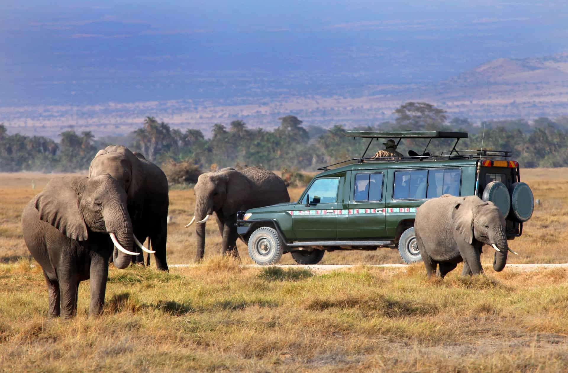 reserve masai mara