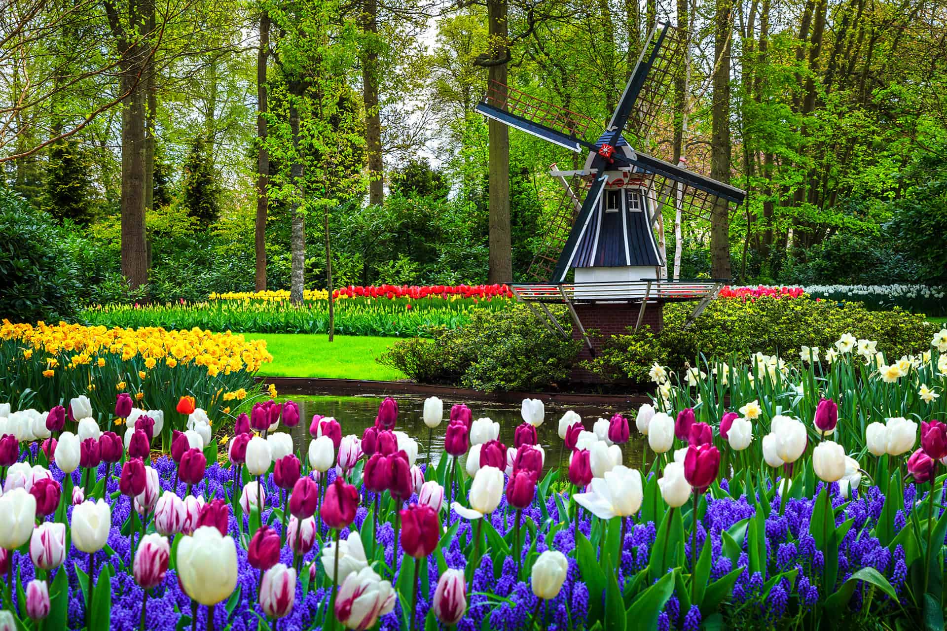 jardin floral pays bas jardin floral pays bas