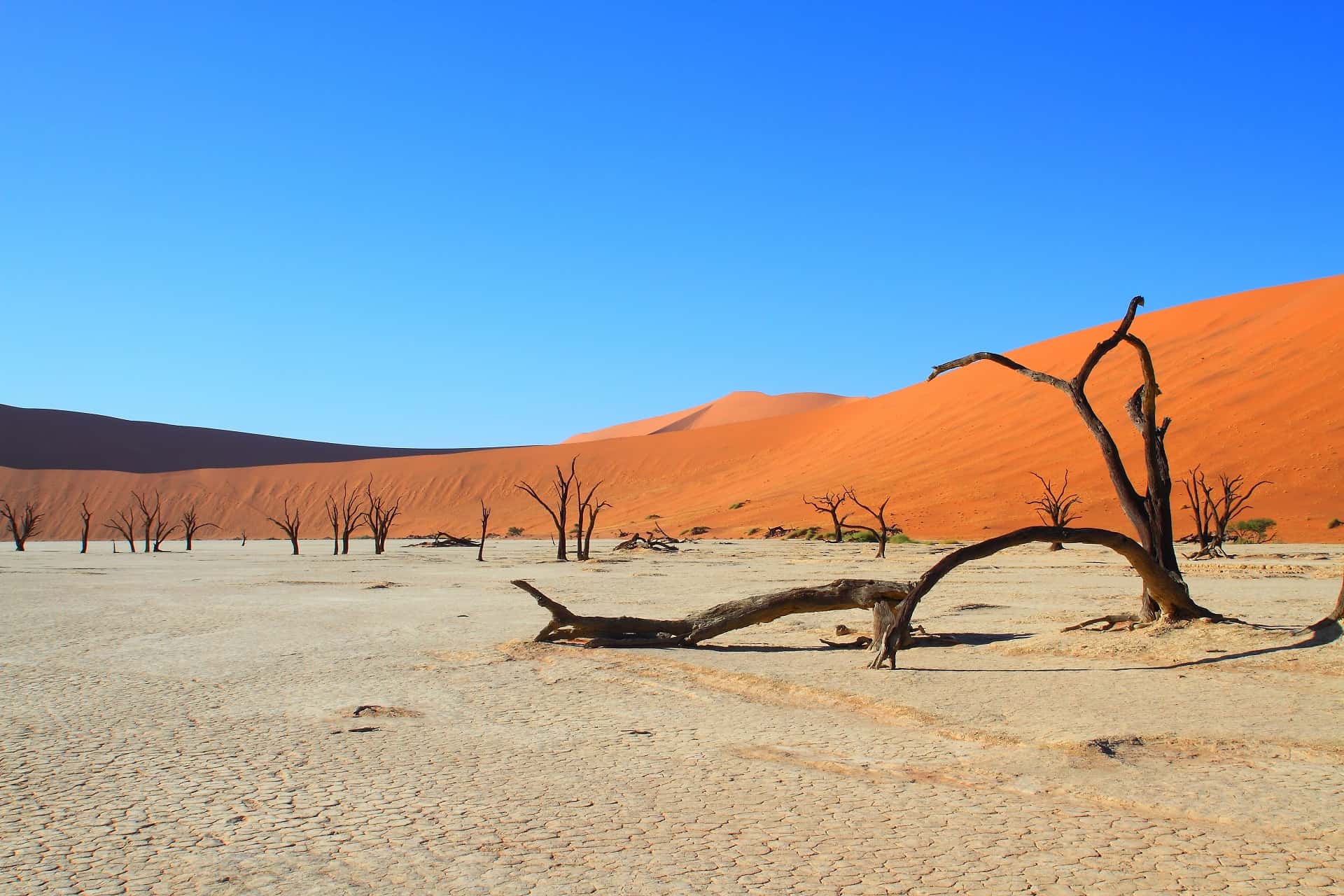 namibie namibie
