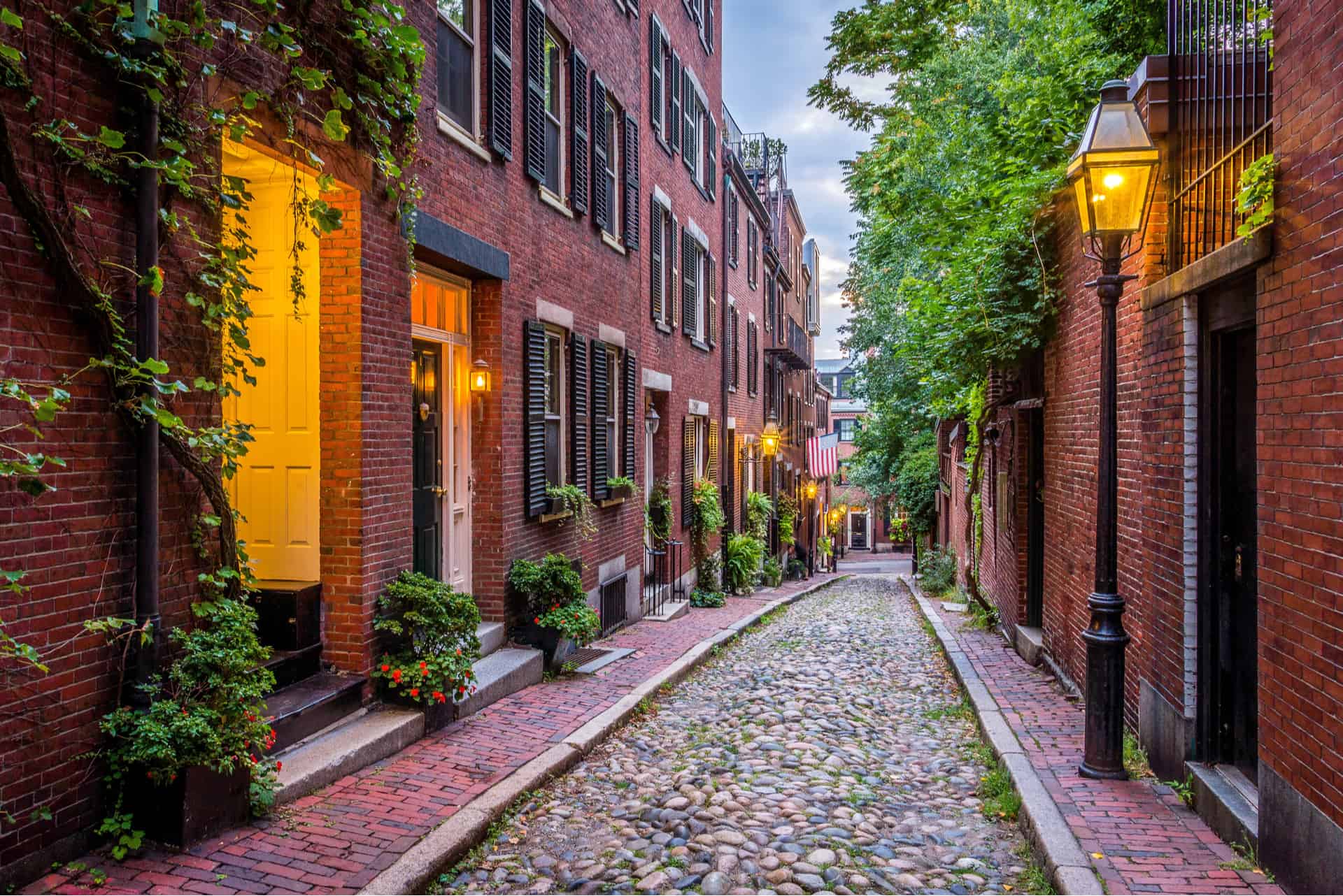 acorn street