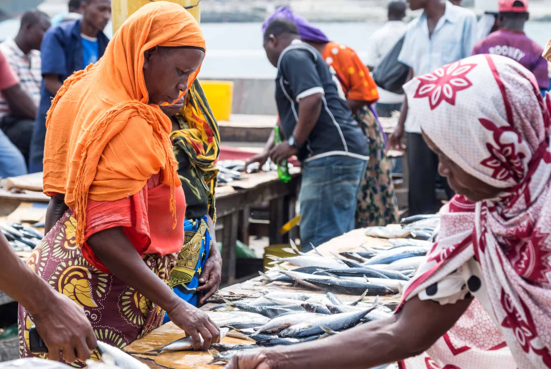 marche dar es salaam marche dar es salaam