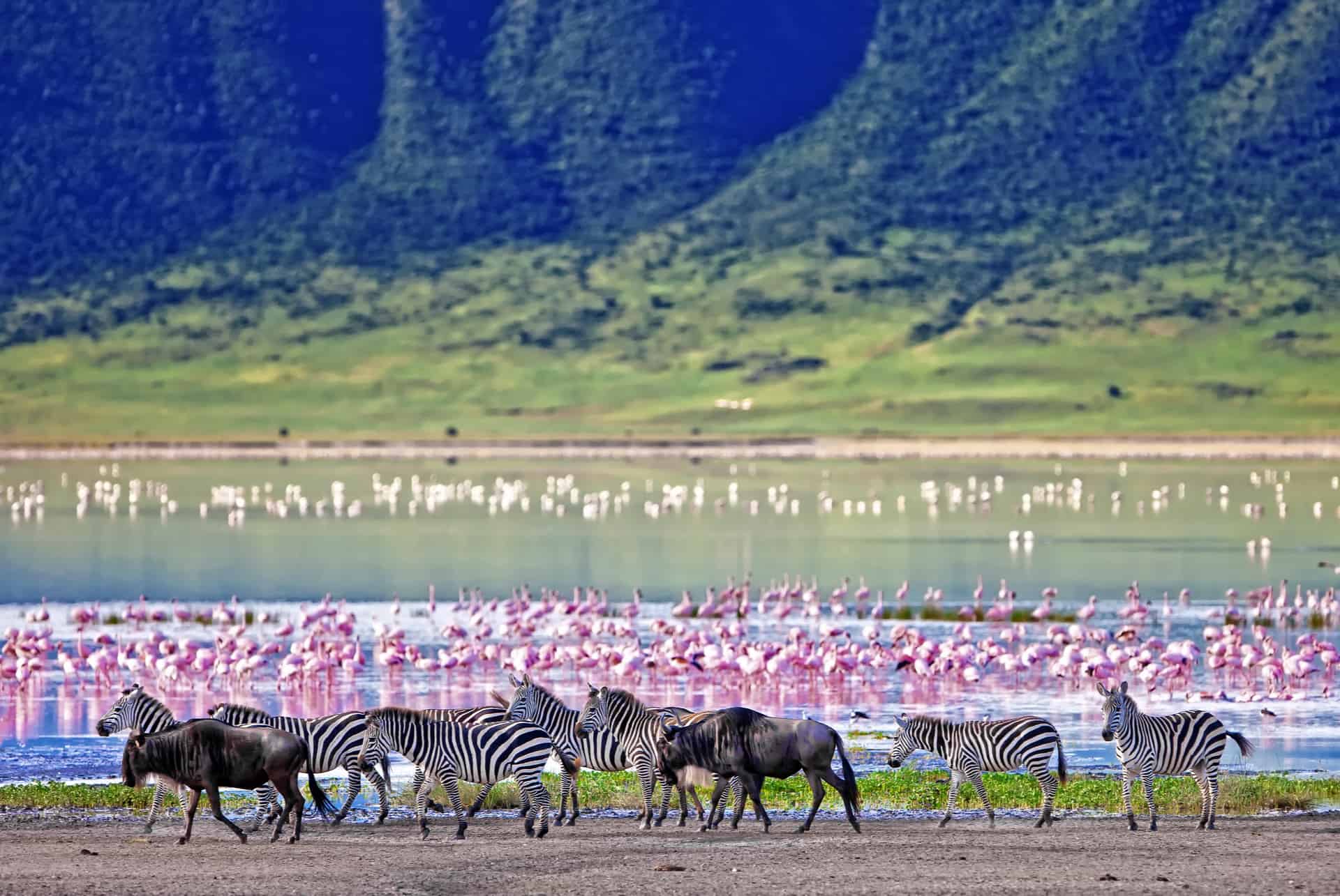 reserve masai mara ecosysteme