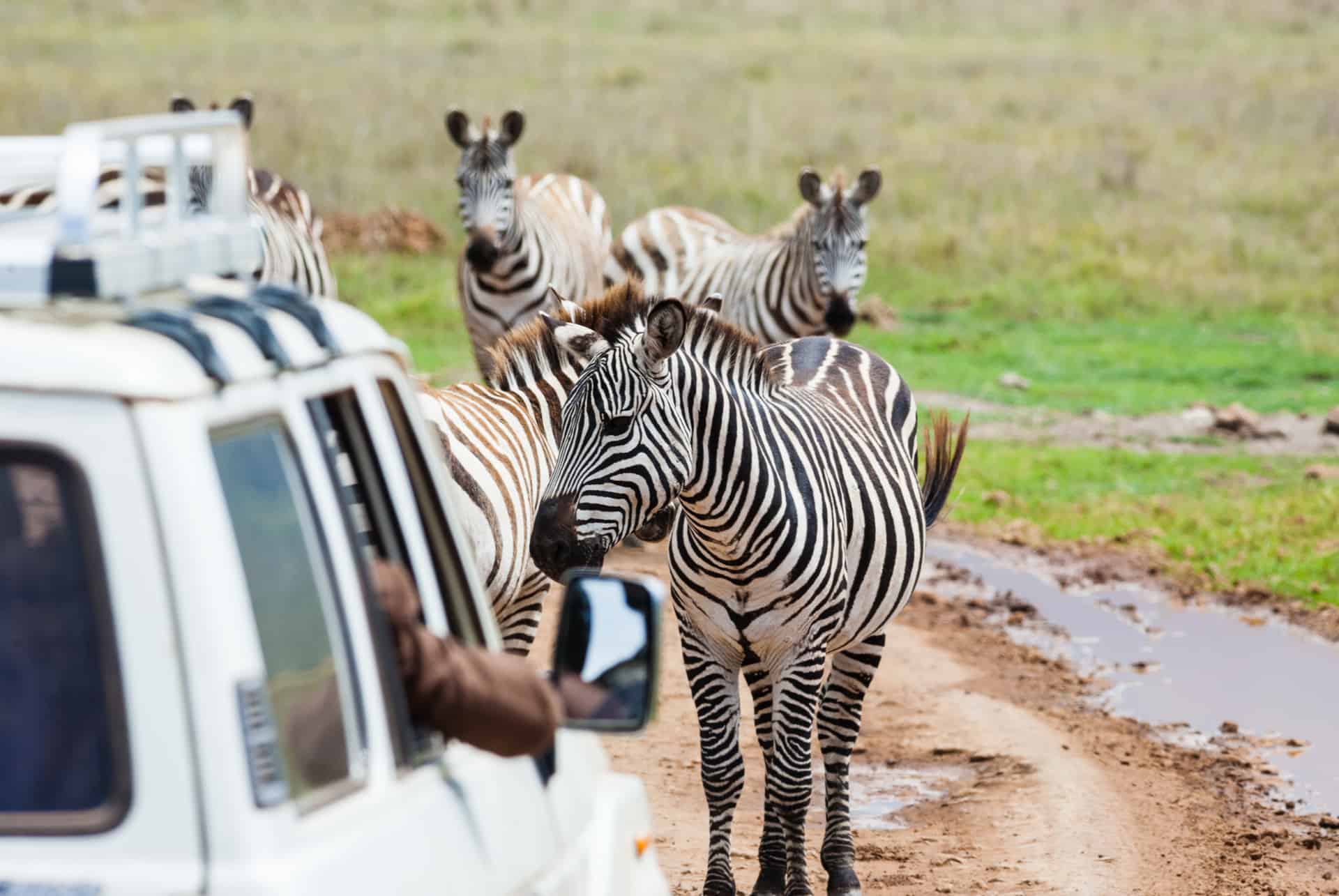 reduire prix safari kenya