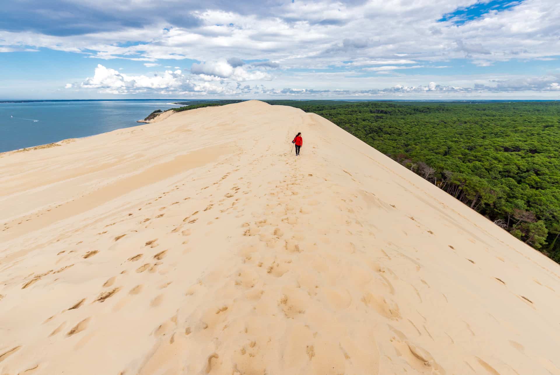 sommet dune du pilat