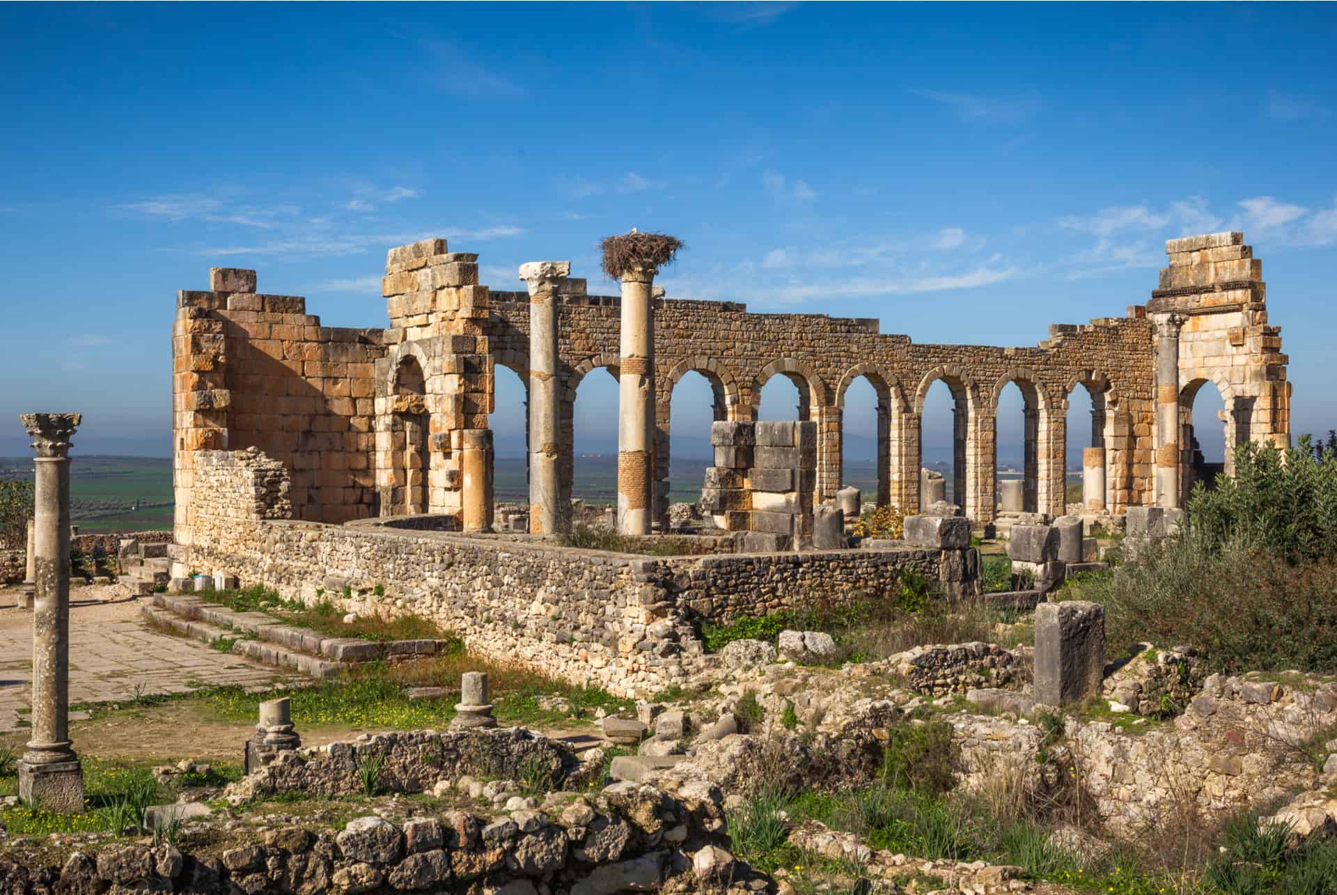 visiter volubilis au maroc