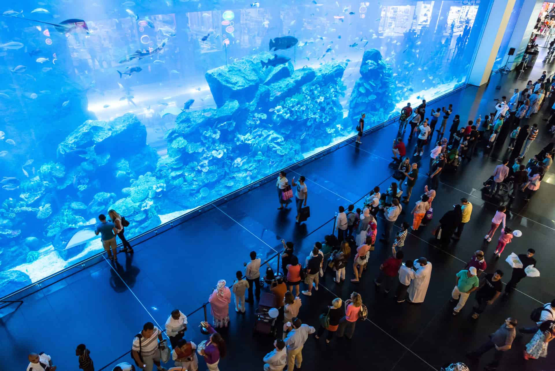 aquarium dubai