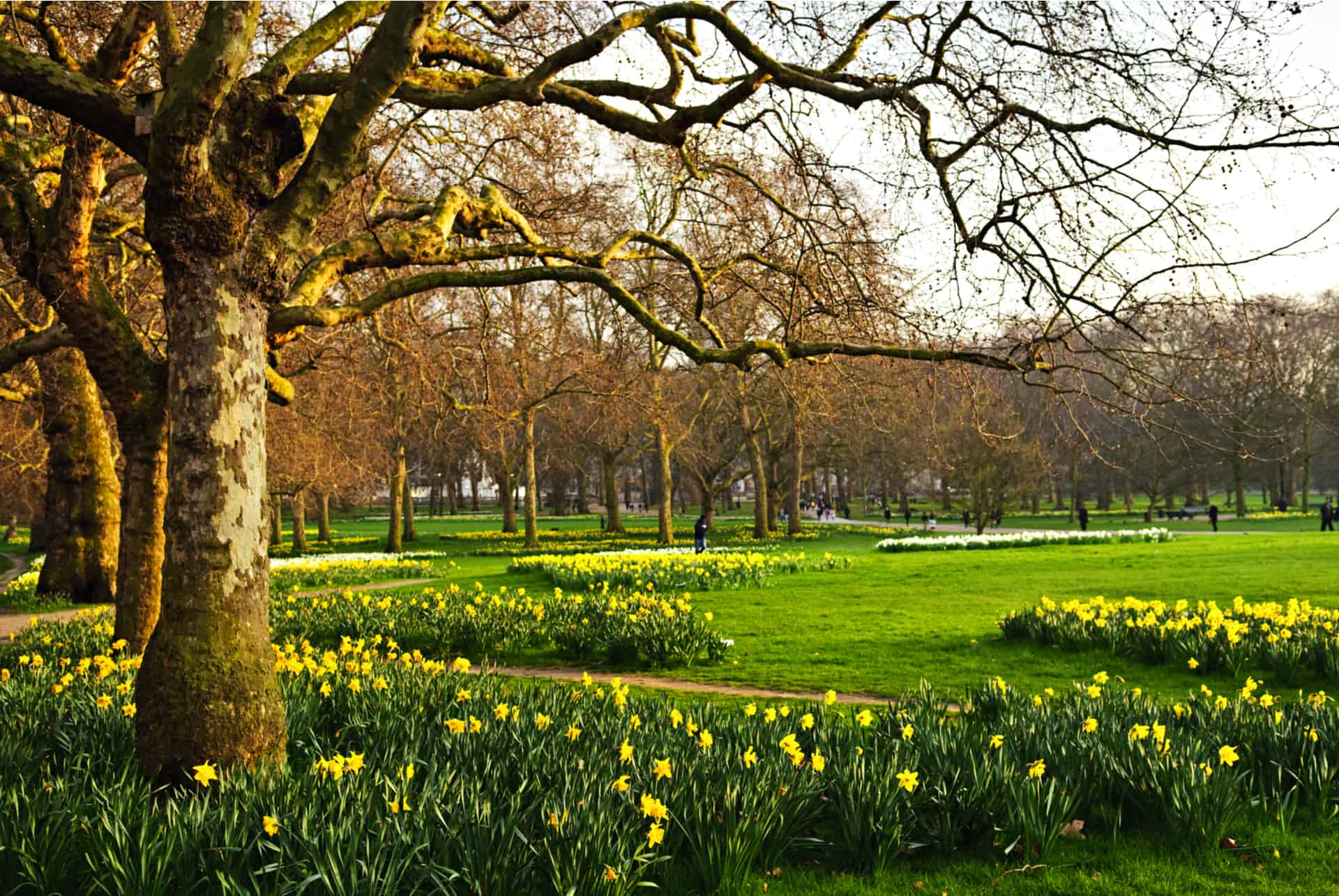 saint james parc saint james park visiter londres 3 jours