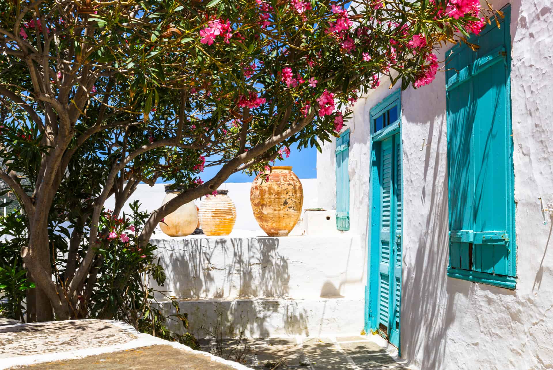 apollonia sifnos apollonia sifnos