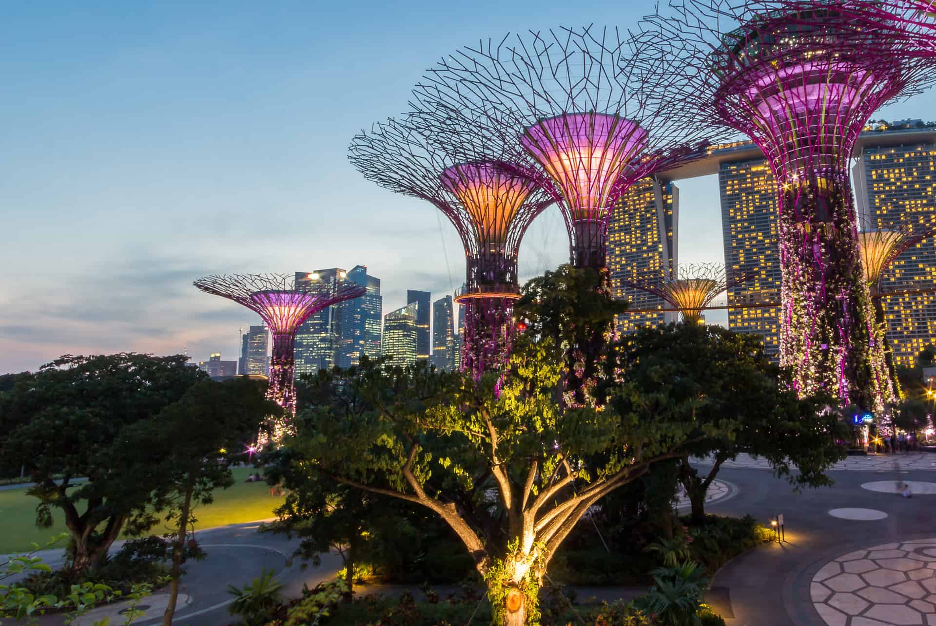 gardens by the bay