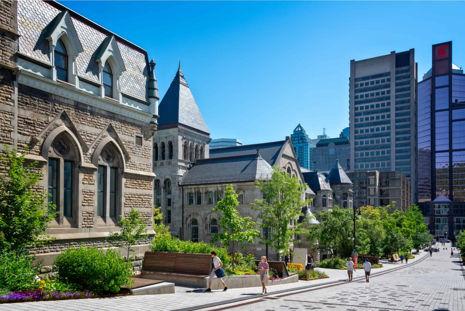 universite montreal