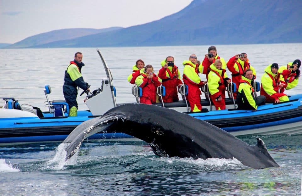 activites en islande