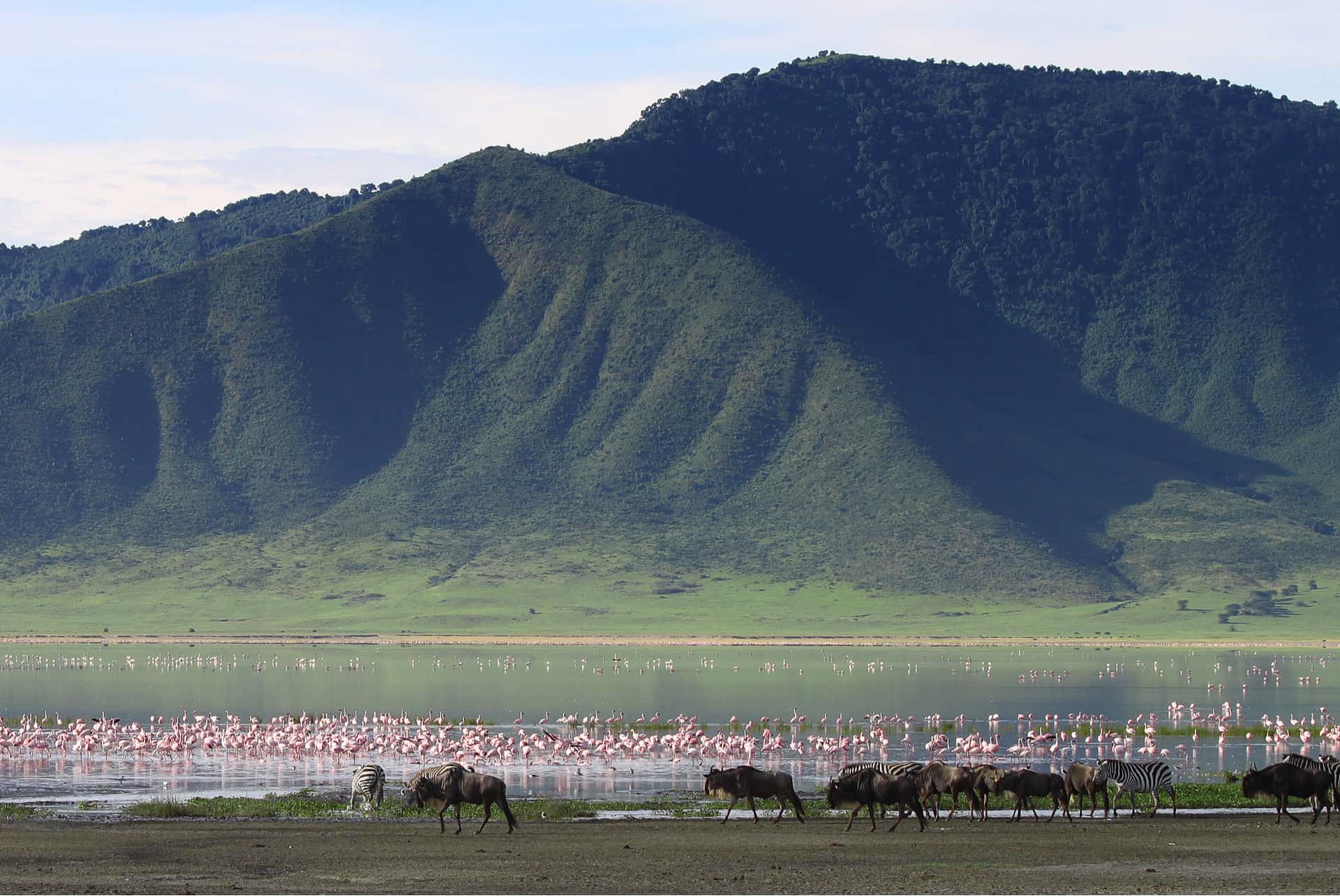 cratere du ngorongoro tanzanie