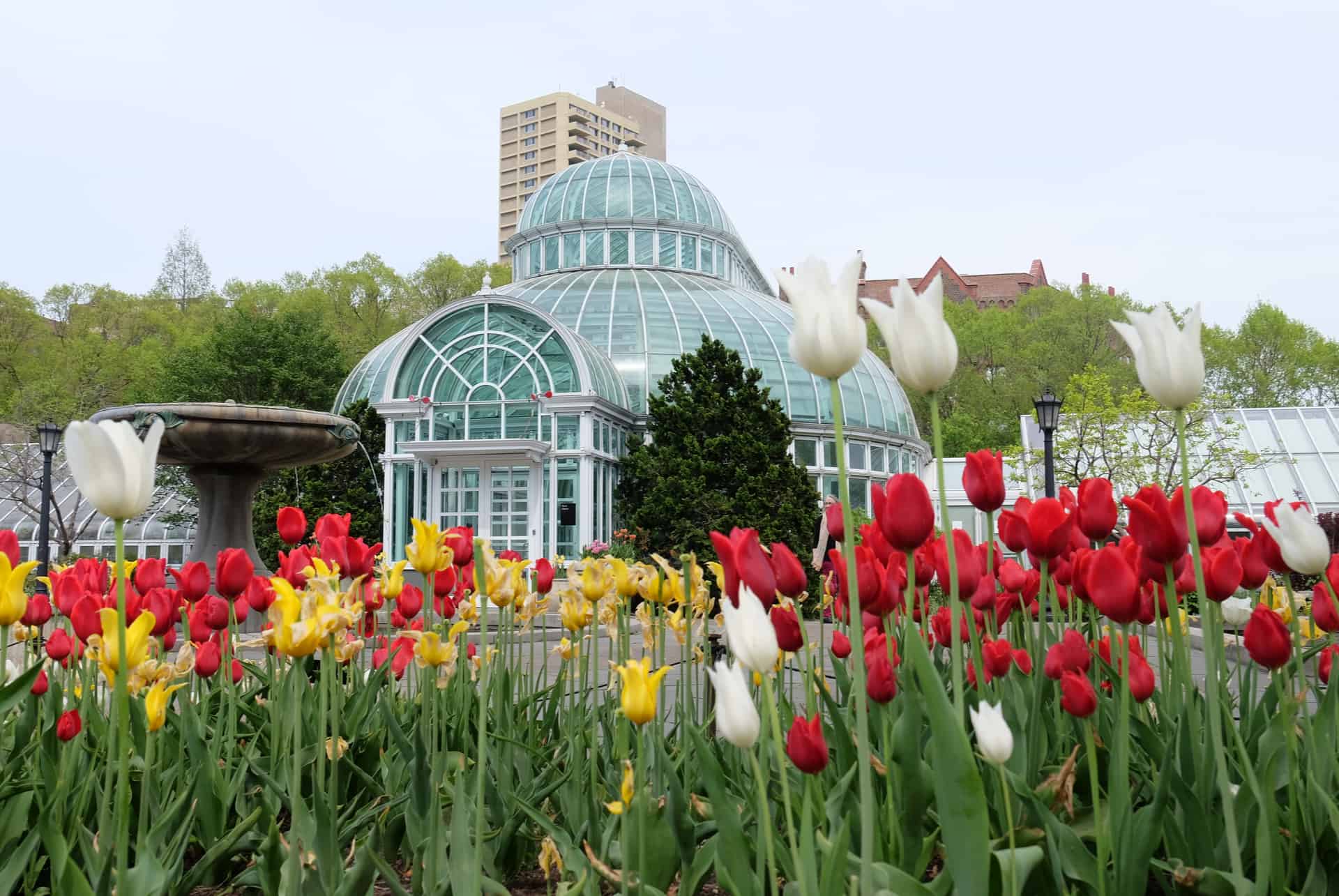 jardin botanique de new york