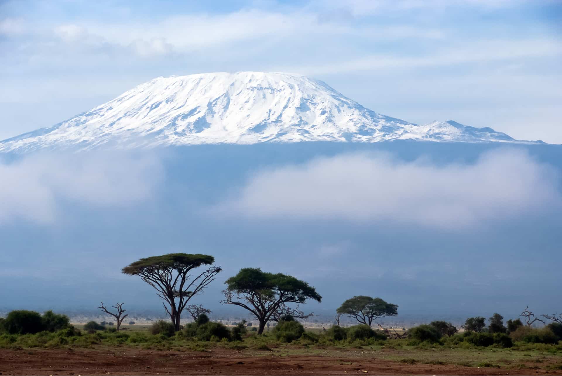 kilimanjaro tanzanie