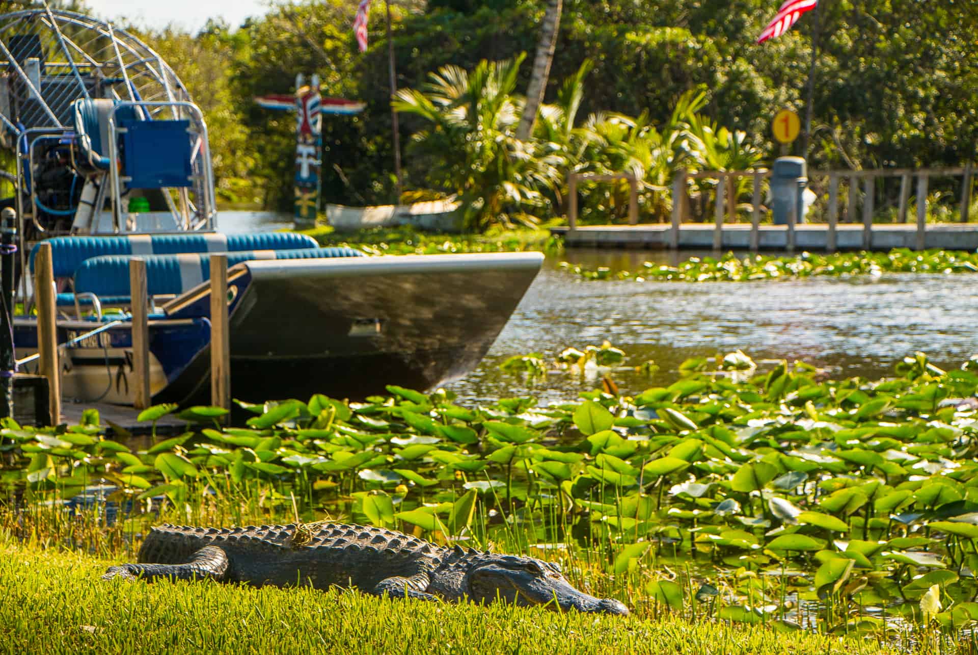 parc national des everglades hydroglisseur