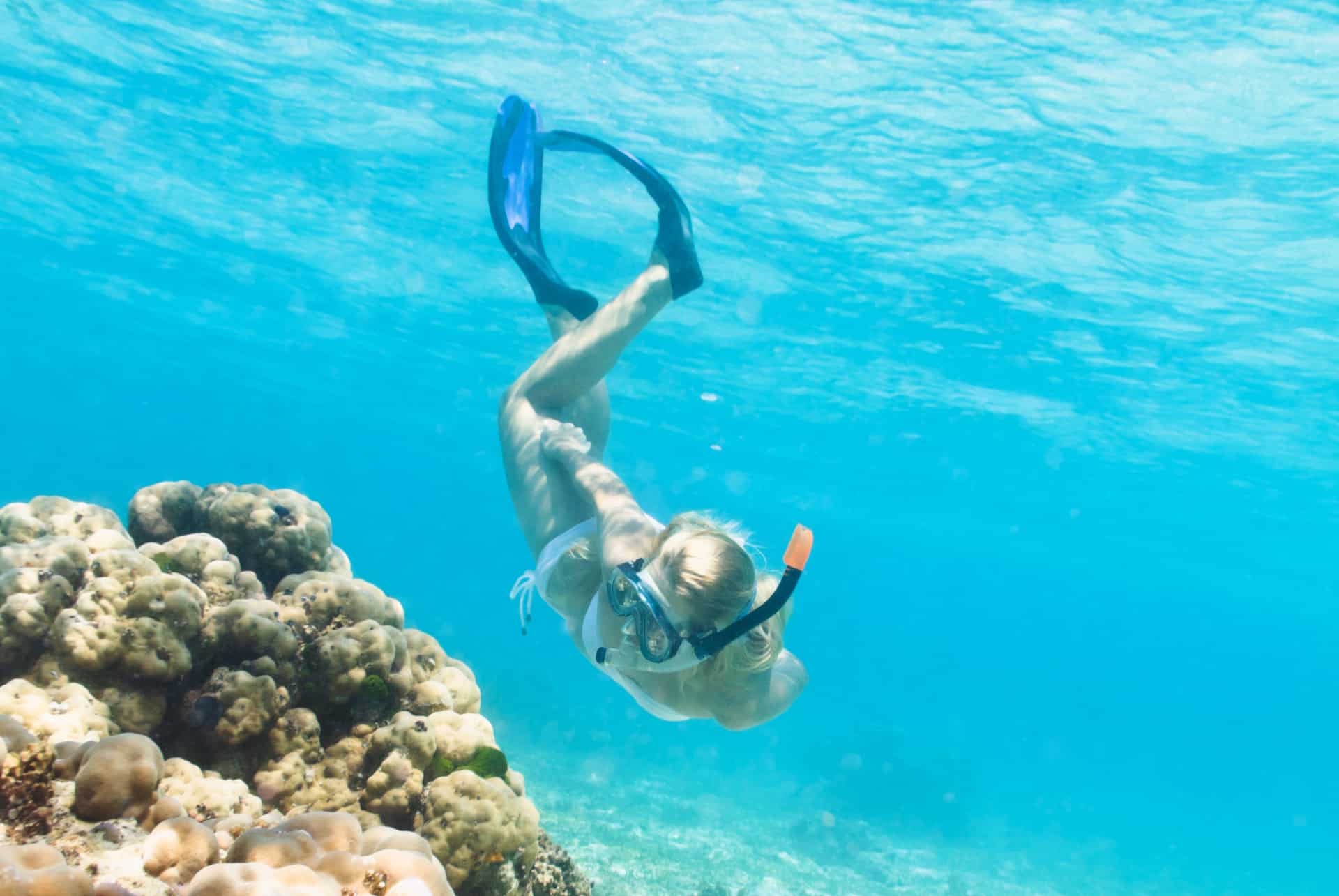snorkeling miami