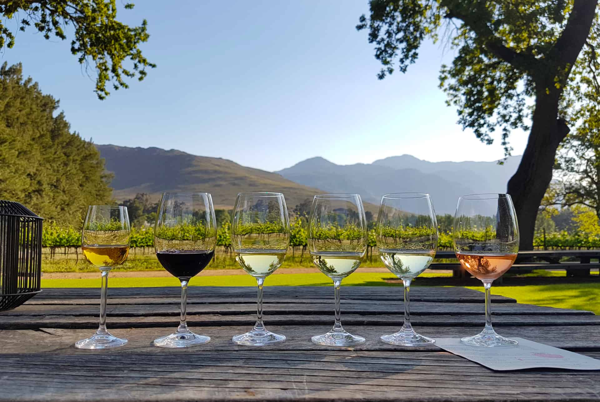 vignobles stellenbosch