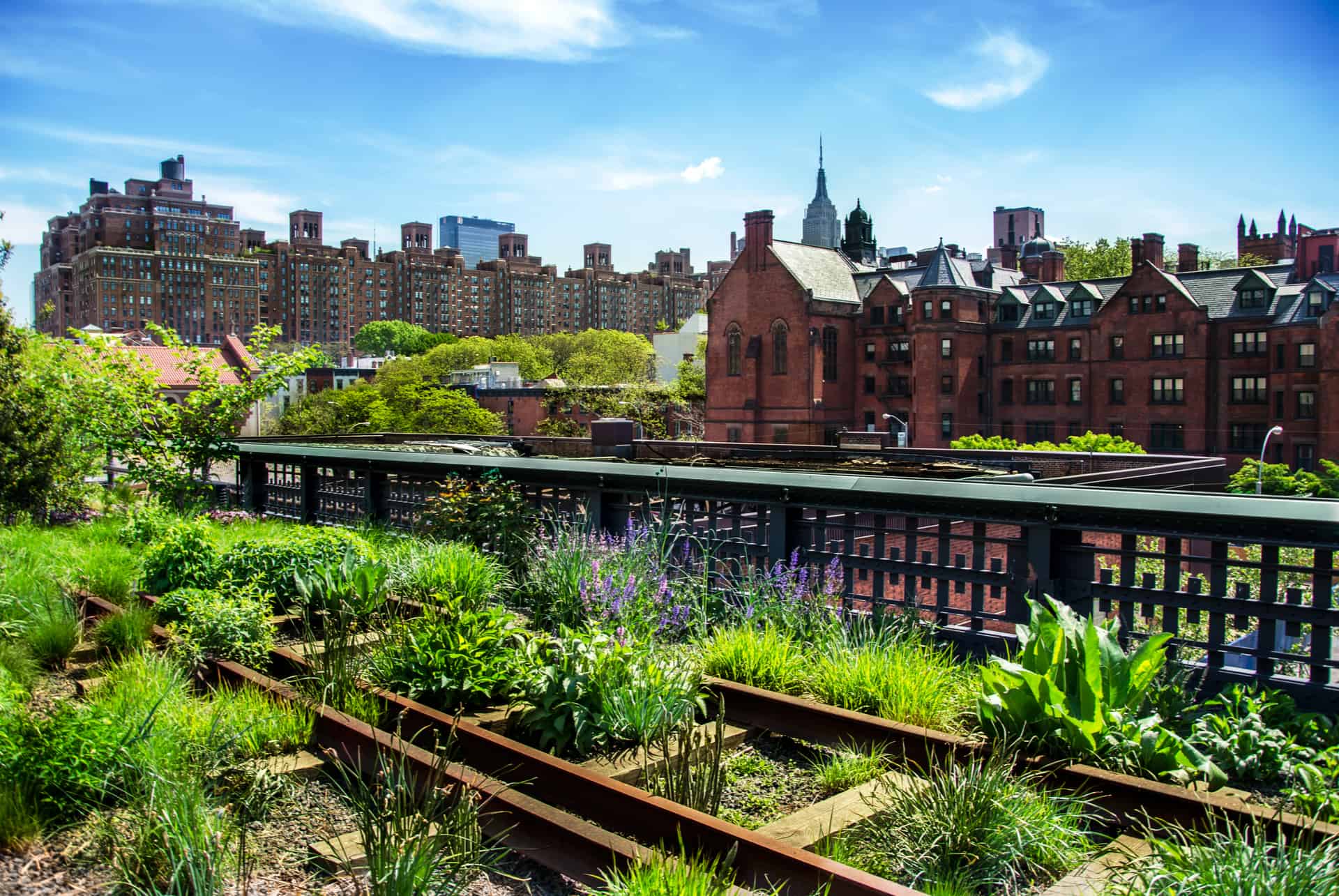 high line vue