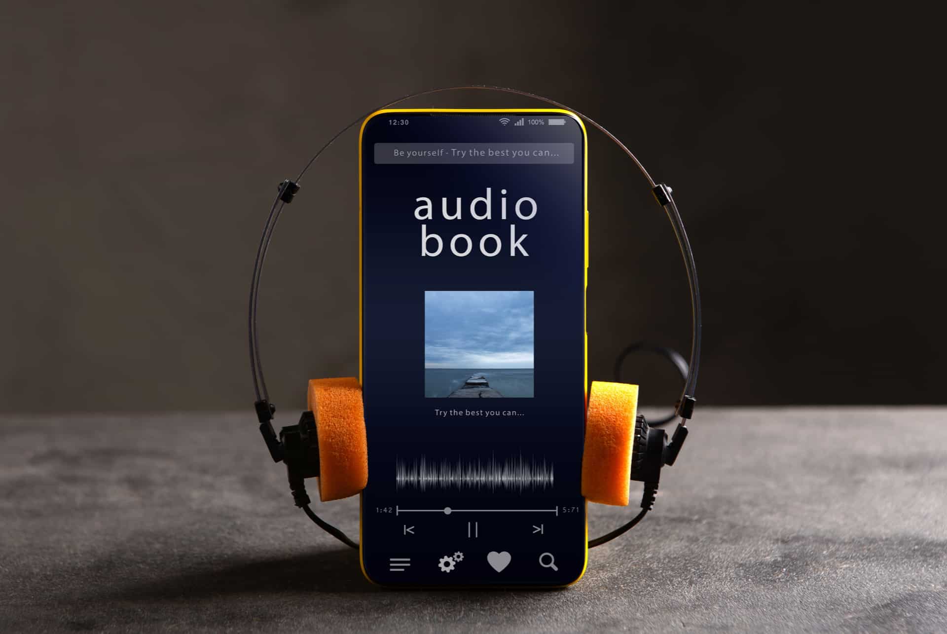 livre audio