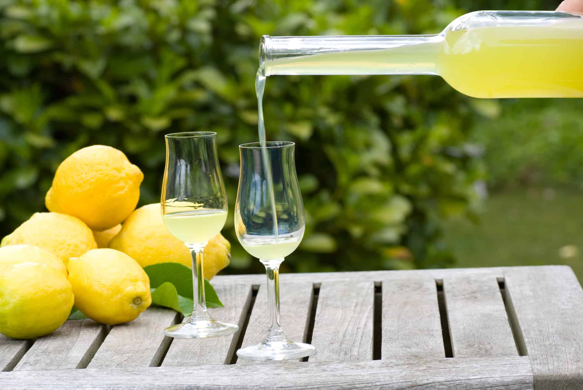 degustation limoncello degustation limoncello