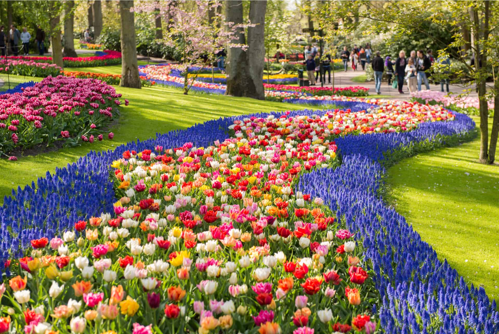 parc keukenhof