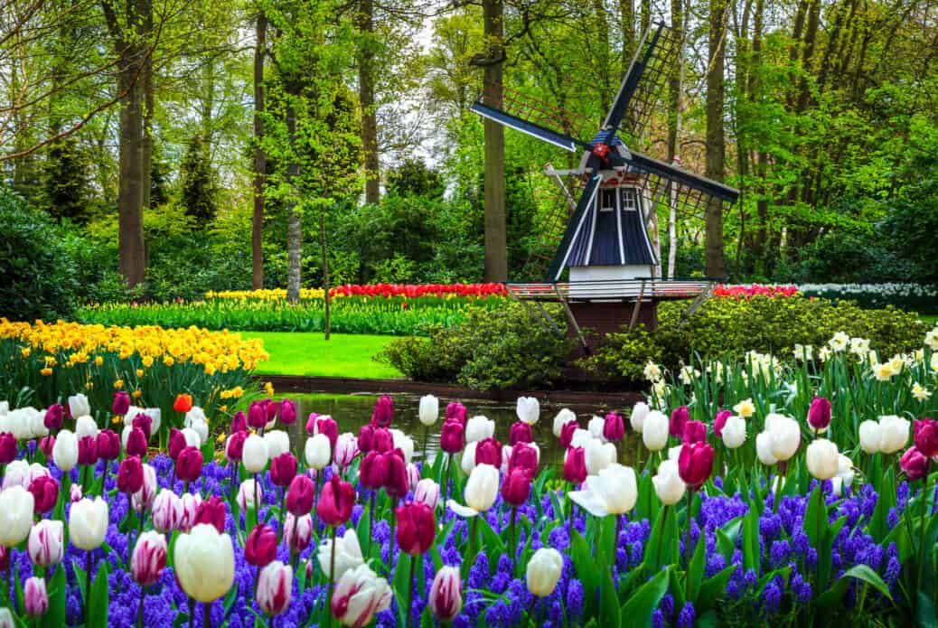 que faire amsterdam parc keukenhof