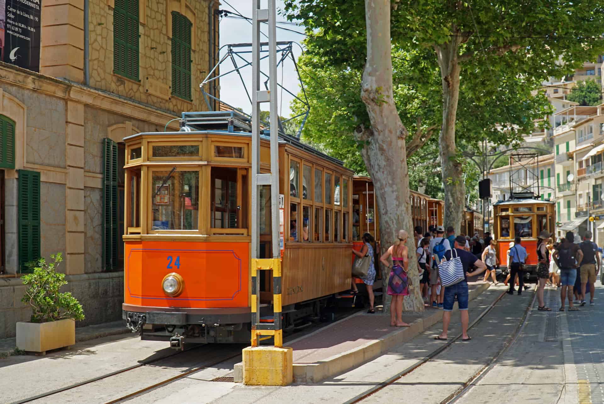 train soller