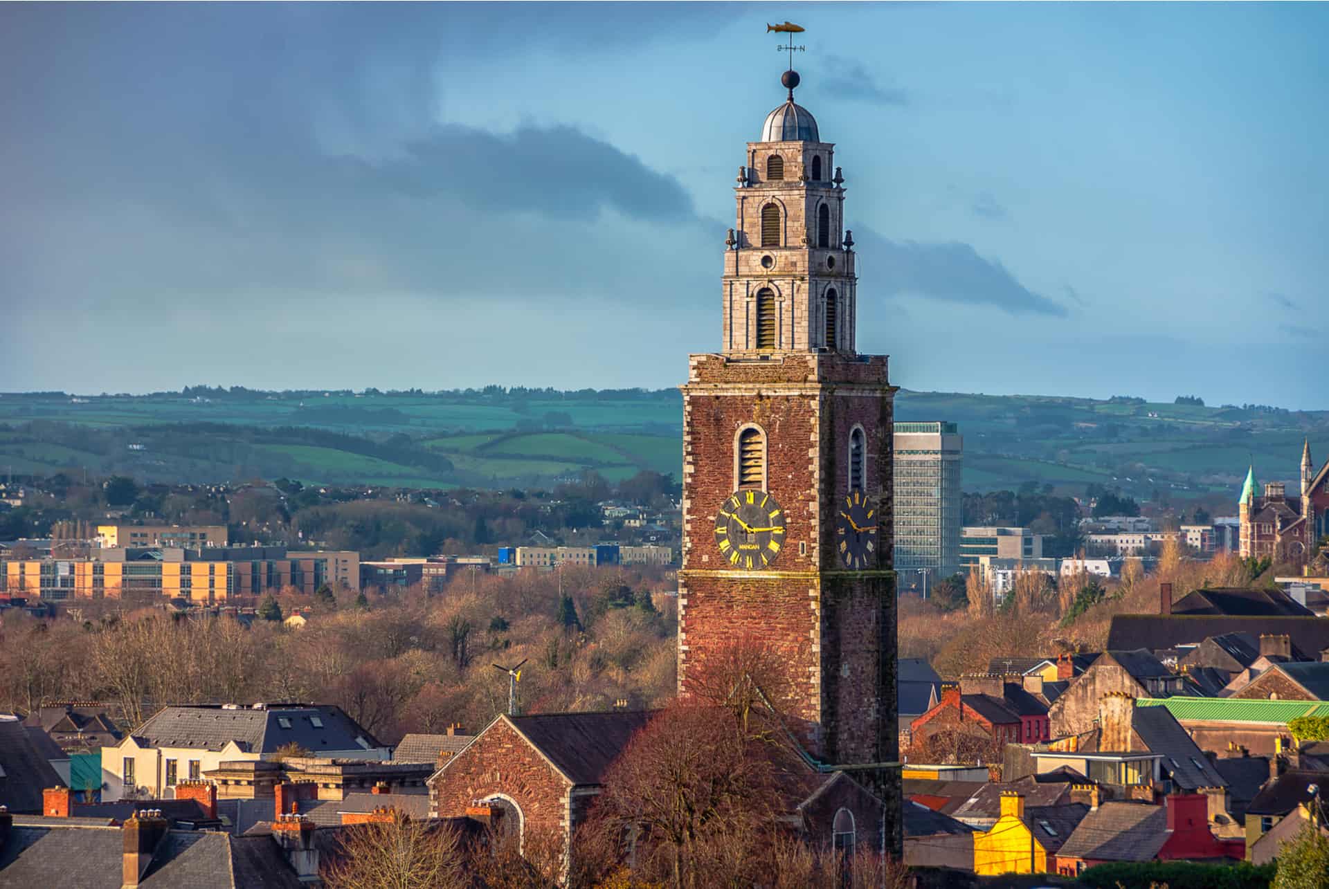 shandon cork