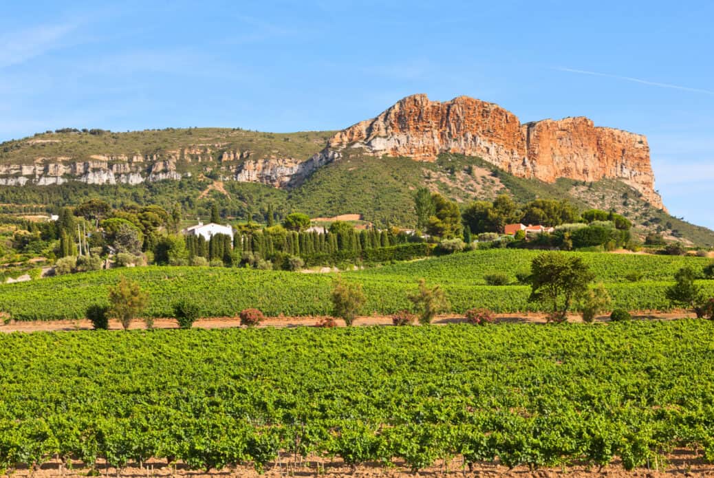 vignobles cassis vignobles cassis