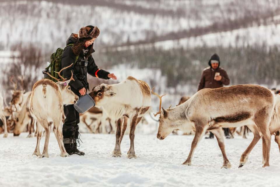 activites a faire en norvege activites a faire en norvege