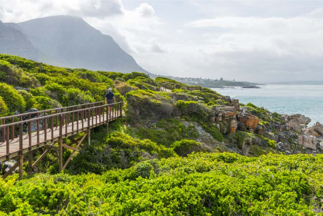 cliff path cliff path