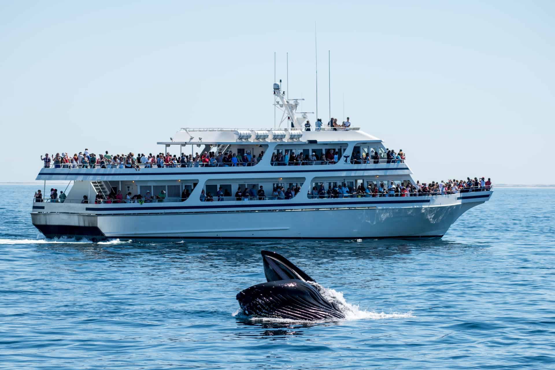 excursion en bateau excursion en bateau