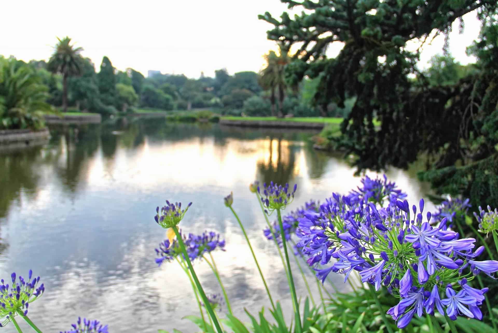 royal botanic gardens