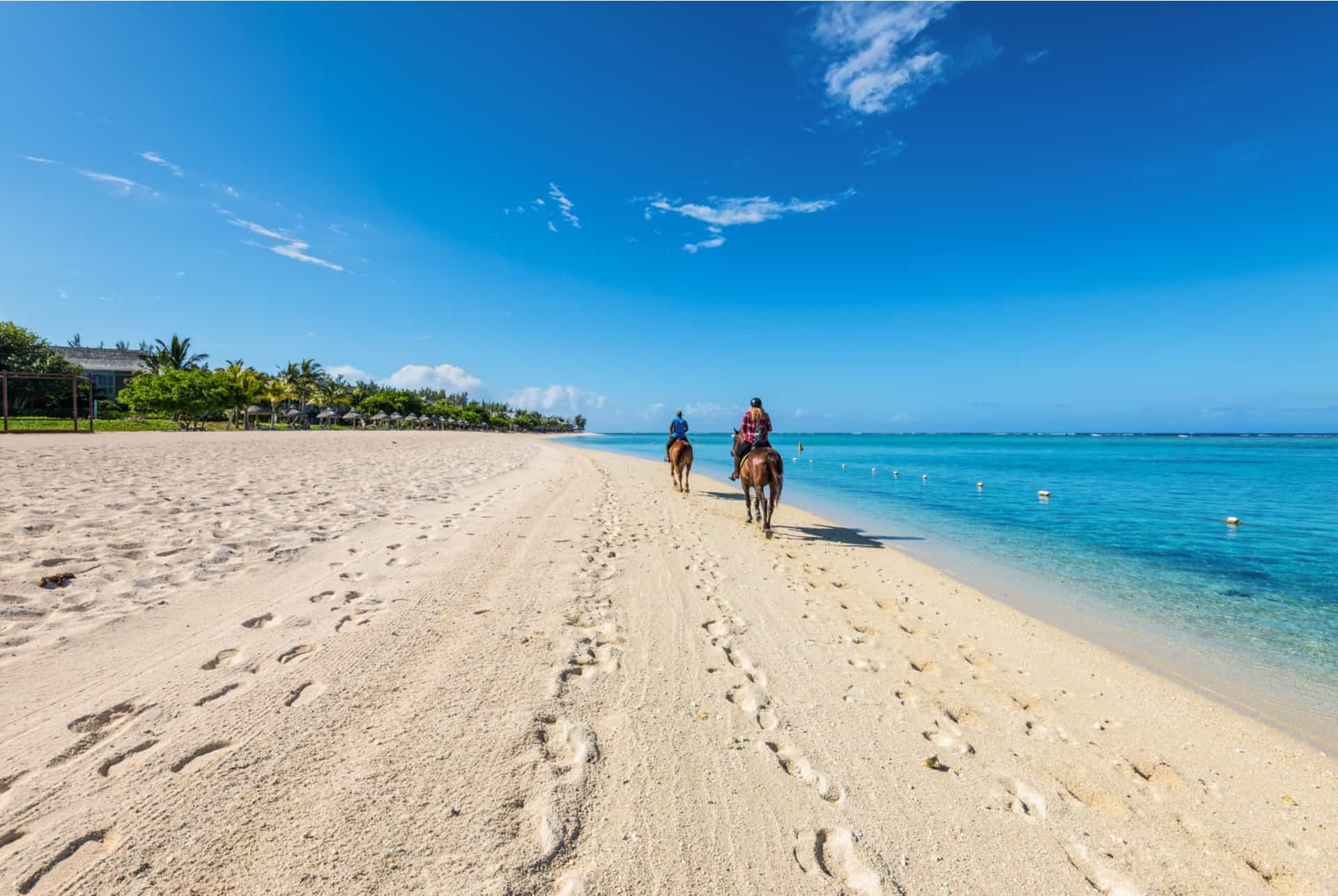 chevaux le morne ile maurice