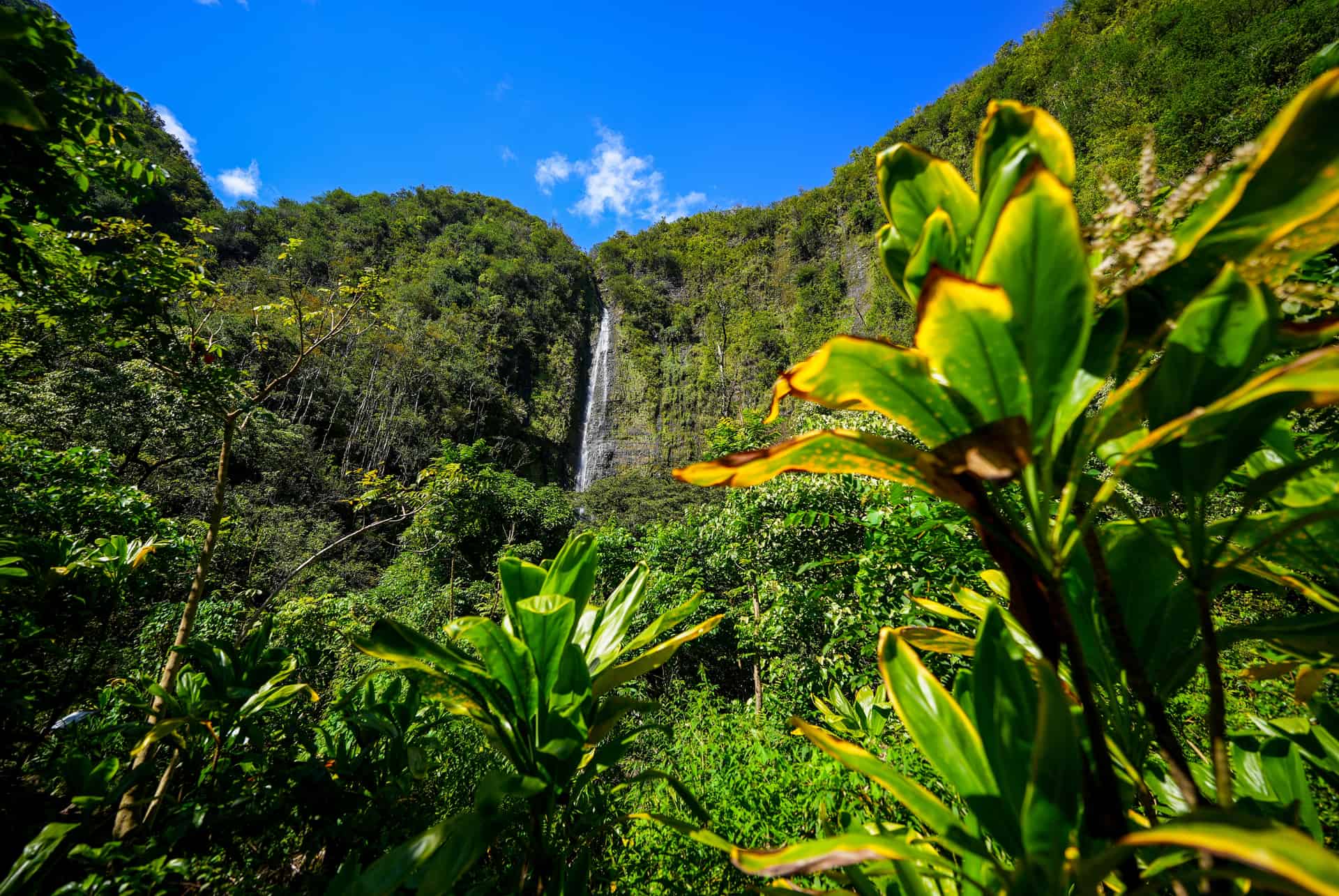 que faire à hawaï haleakala park