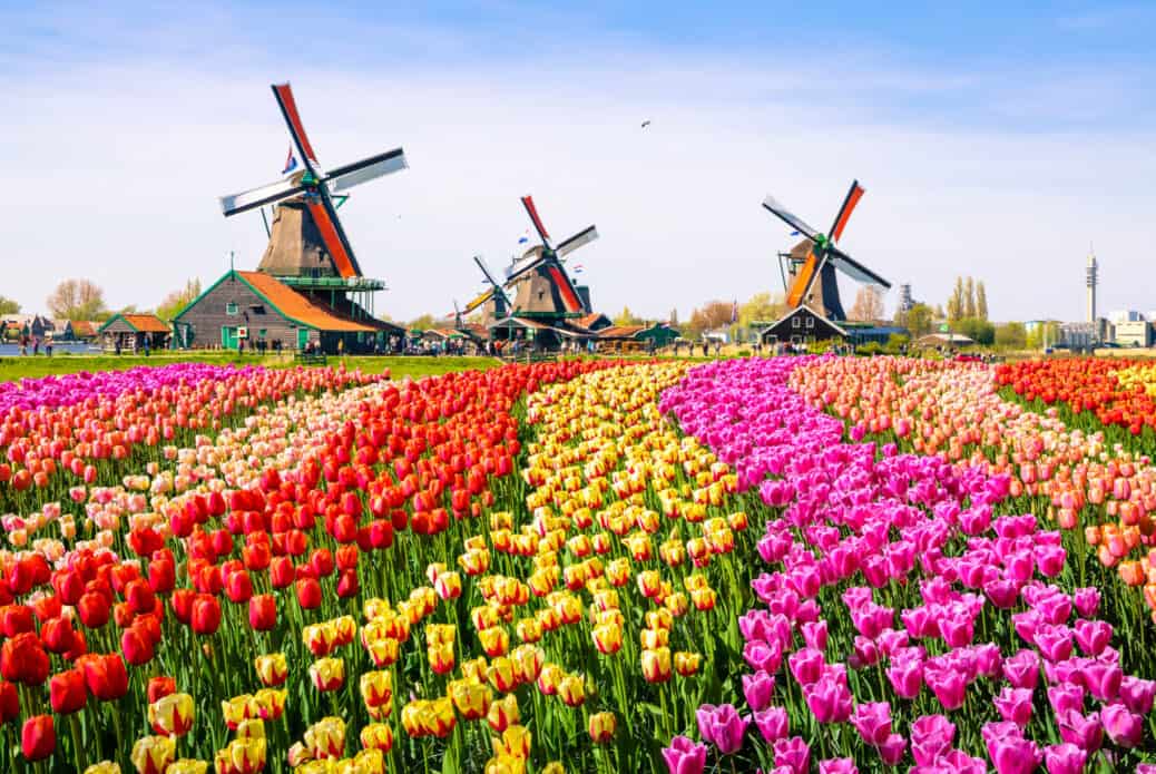 keukenhof keukenhof