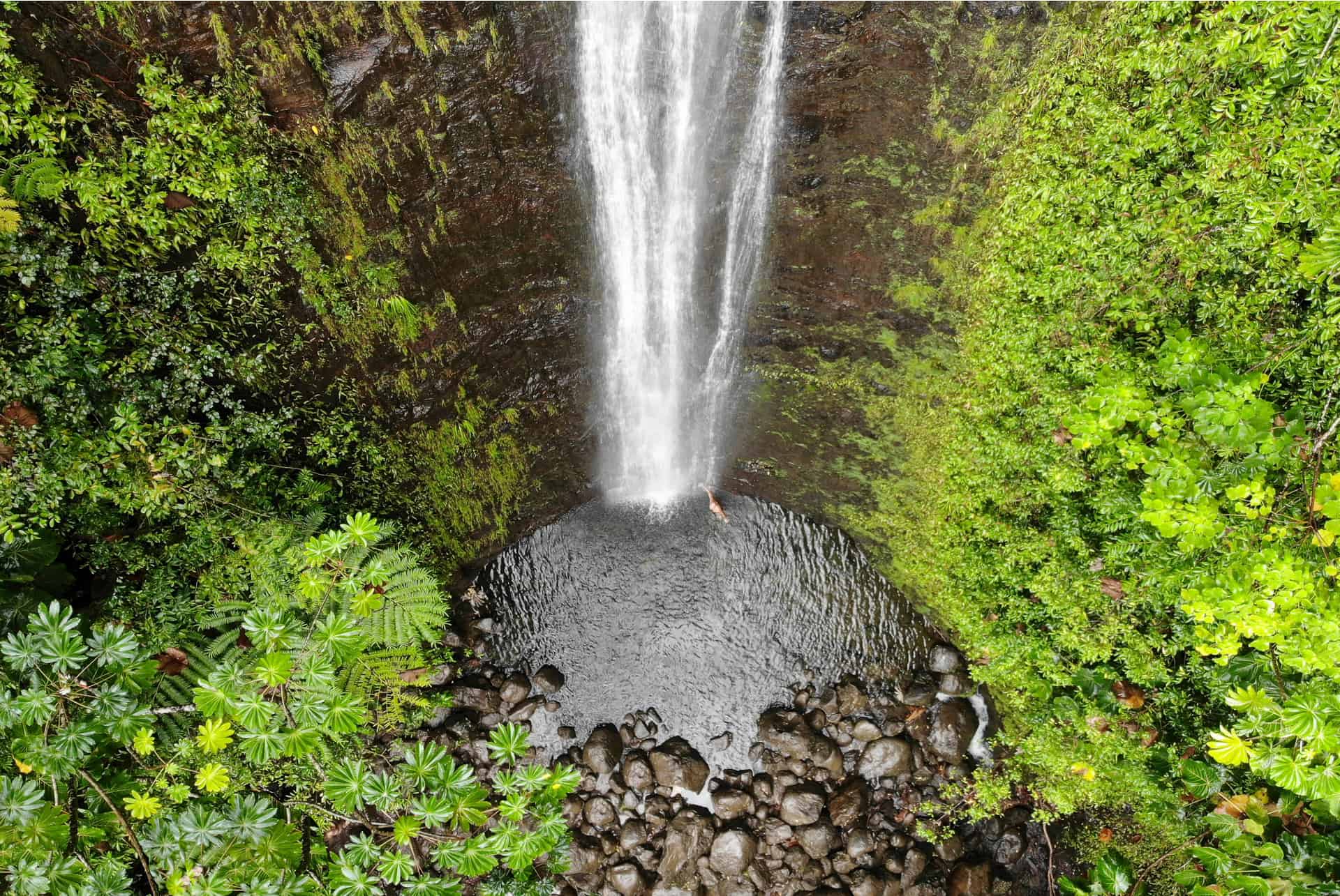 manoa falls