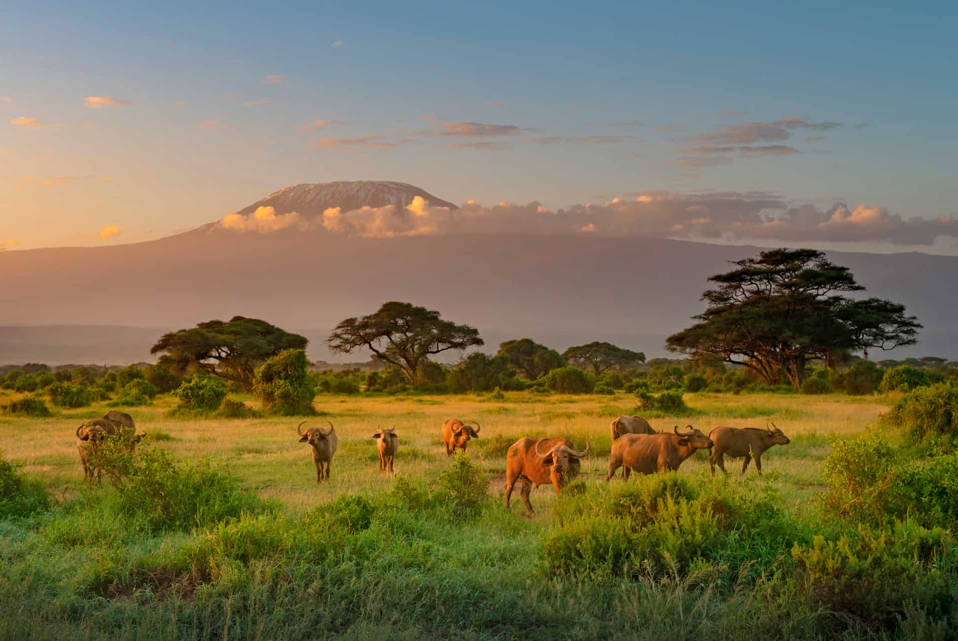 quand partir au kenya