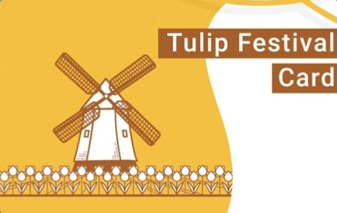 tulip festival card tulip festival card