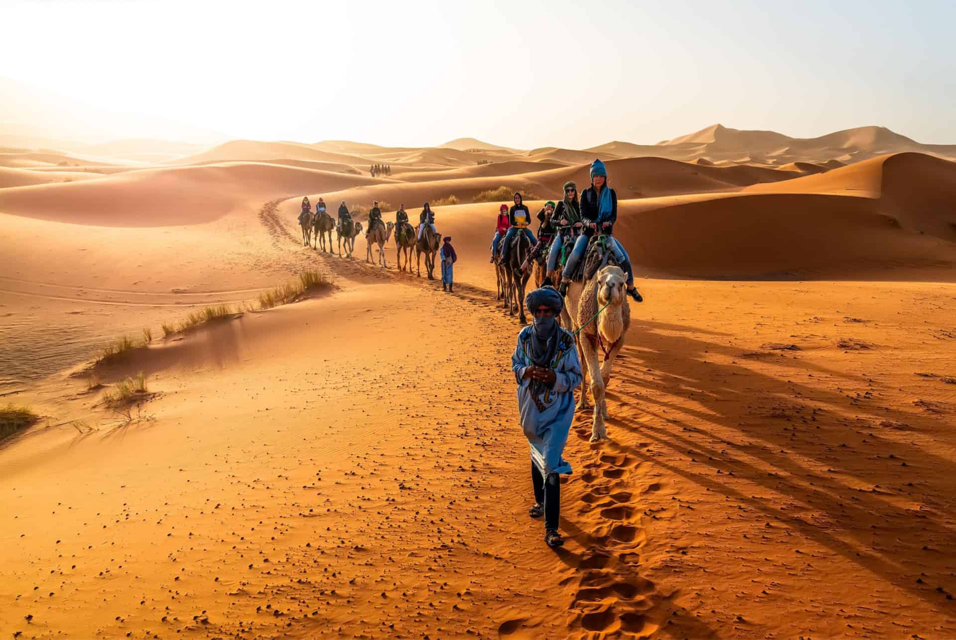 desert merzouga