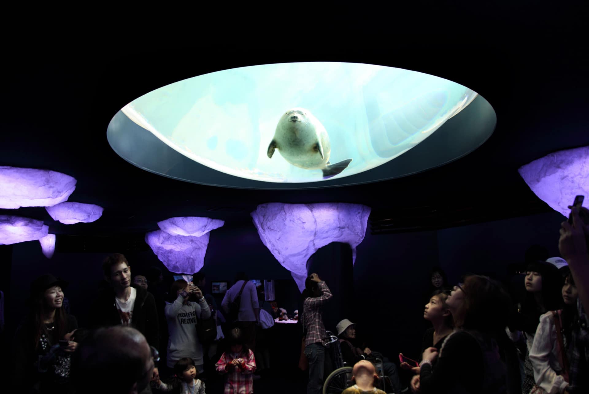 osaka aquarium osaka aquarium