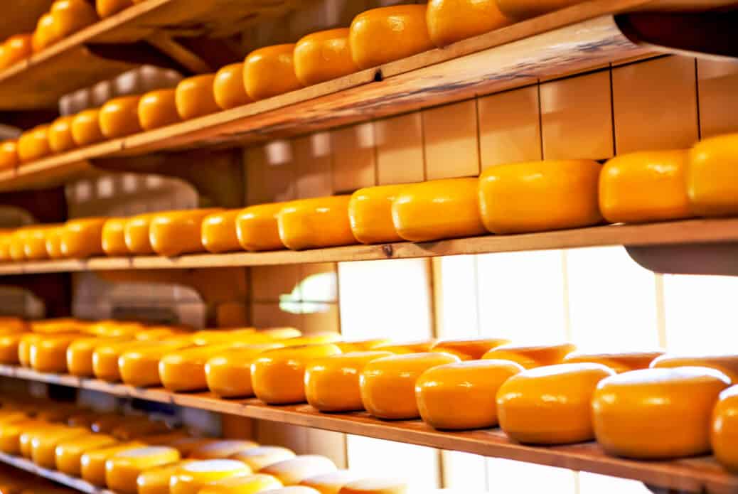 fromages zaanse schans fromages zaanse schans