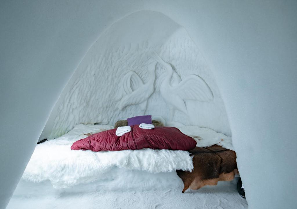 igloo week end insolite