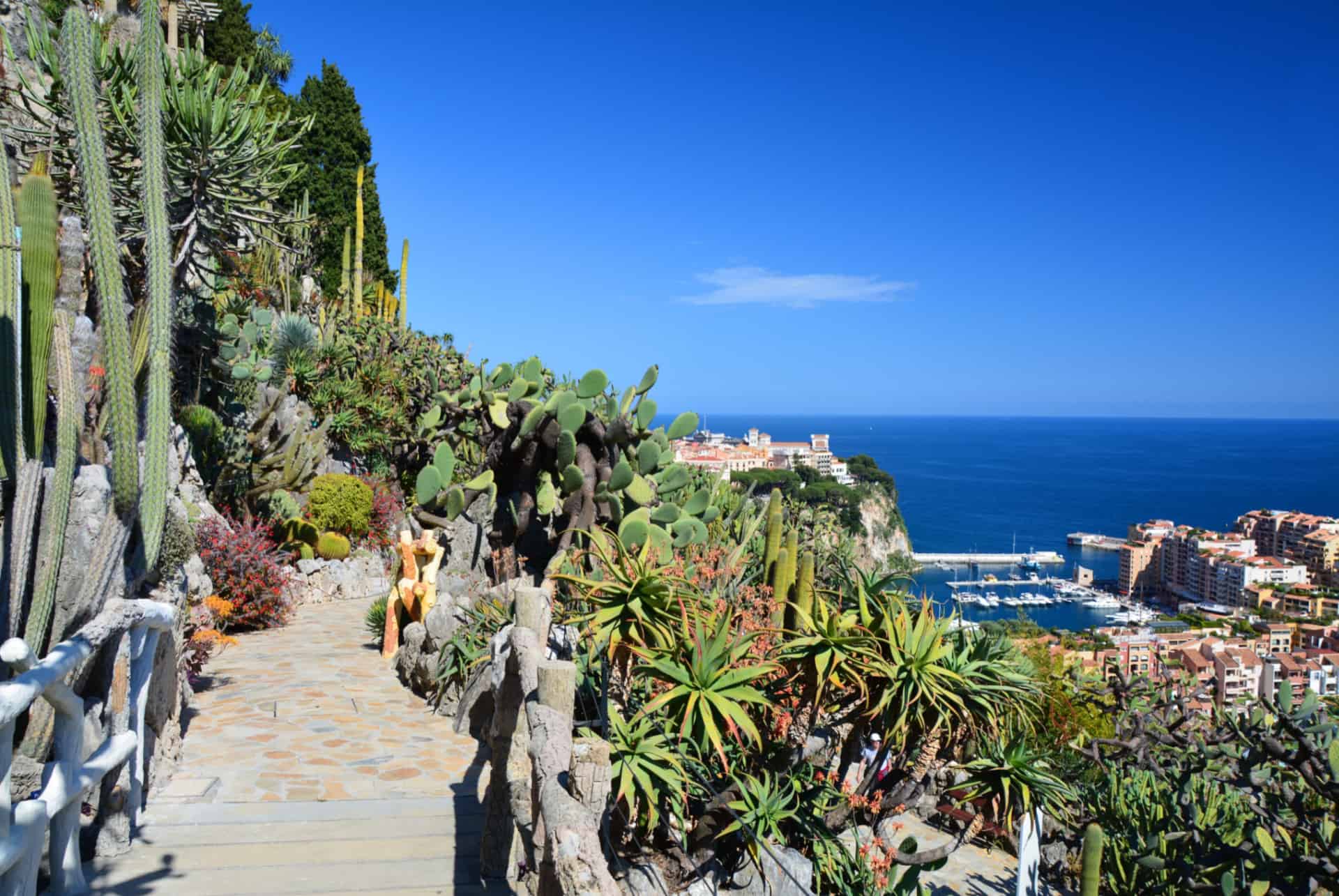 jardin exotique monaco jardin exotique monaco