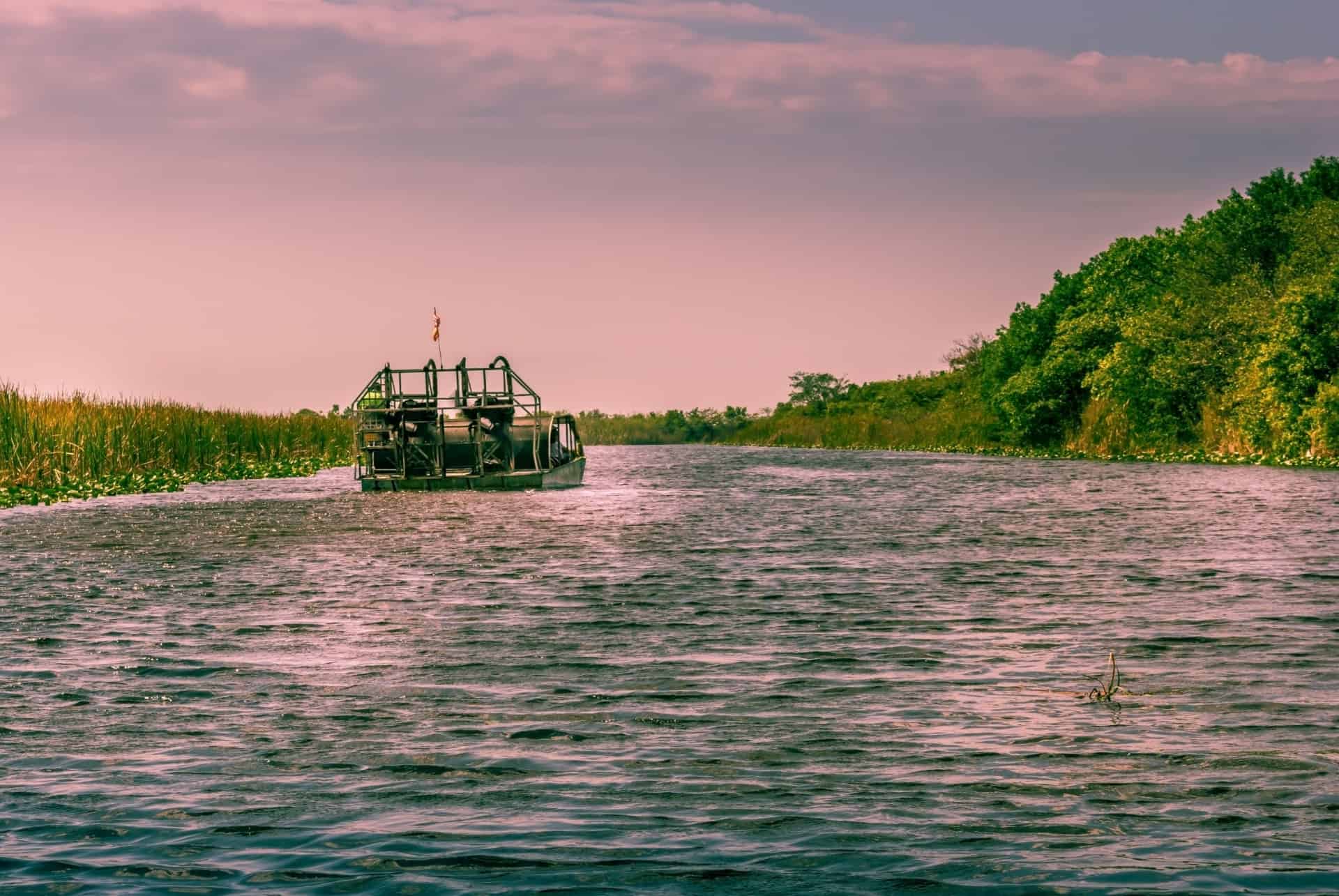 airboat everglades