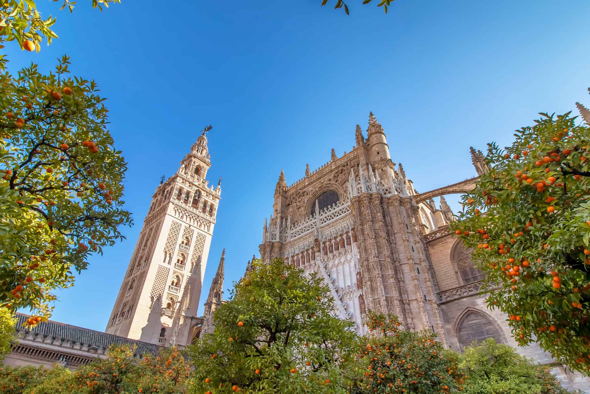 cathedrale seville